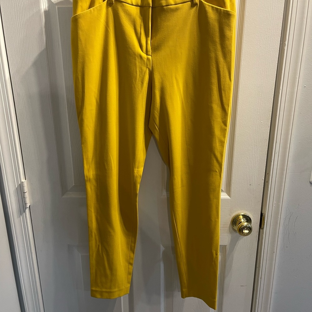Express dress pant